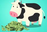  COW